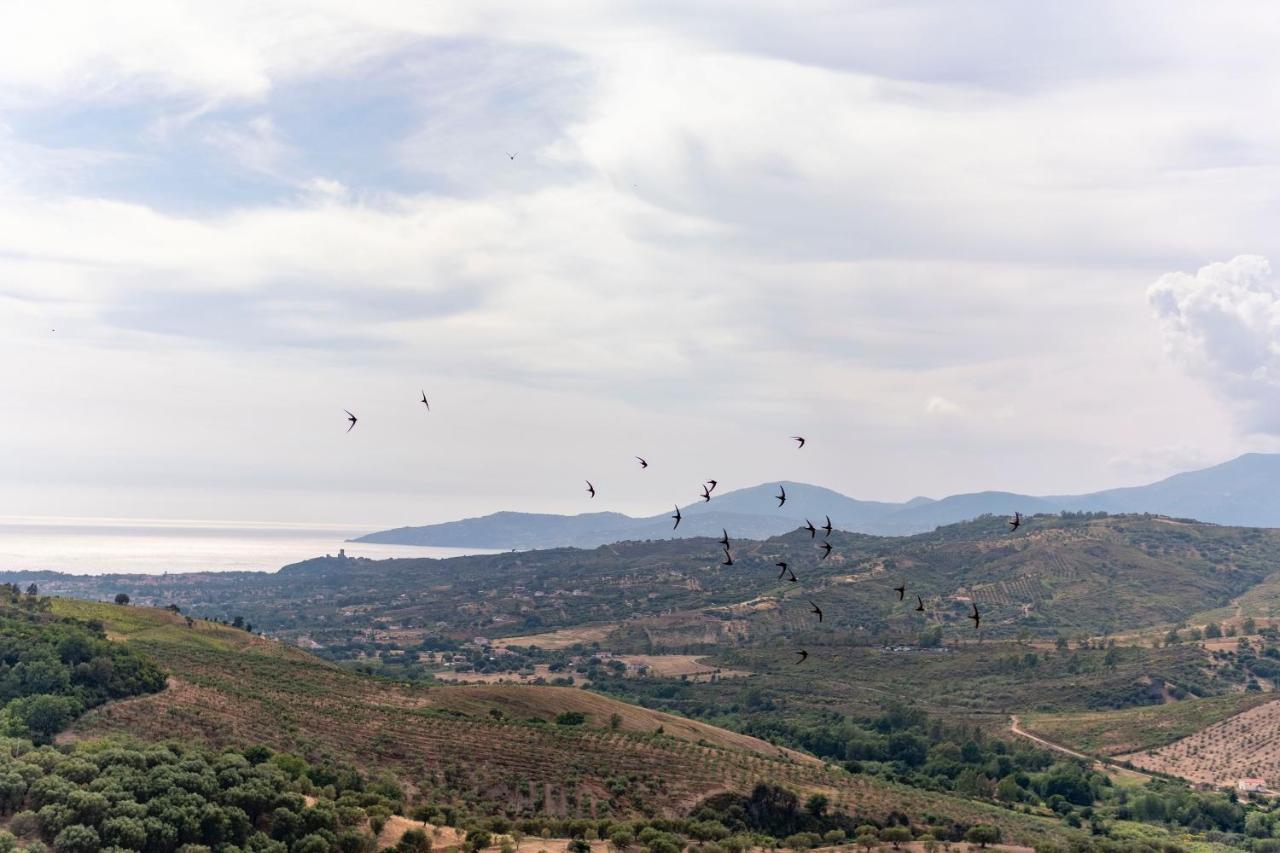 Corte Degli Ulivi Terradura エクステリア 写真