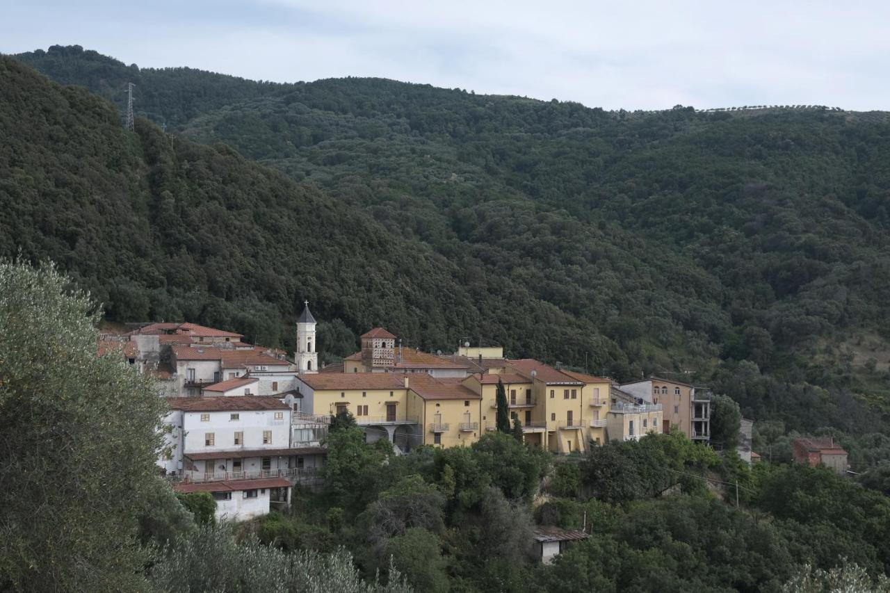 Corte Degli Ulivi Terradura エクステリア 写真